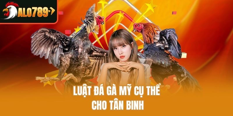Luật đá gà mỹ cụ thể cho tân binh